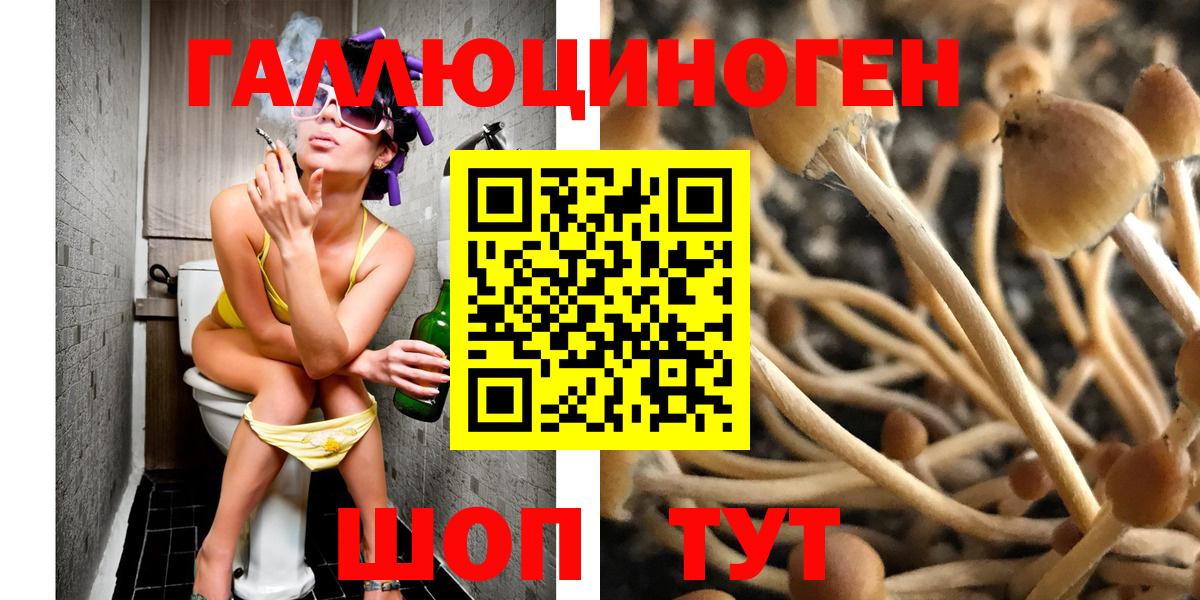 Галлюциногенные грибы Psilocybe Шумерля
