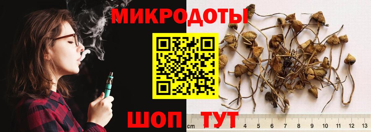 Псилоцибиновые грибы Psilocybine cubensis  Вход с VPN  Шумерля 